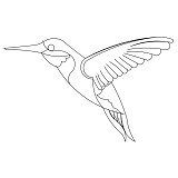 hummingbird single 001